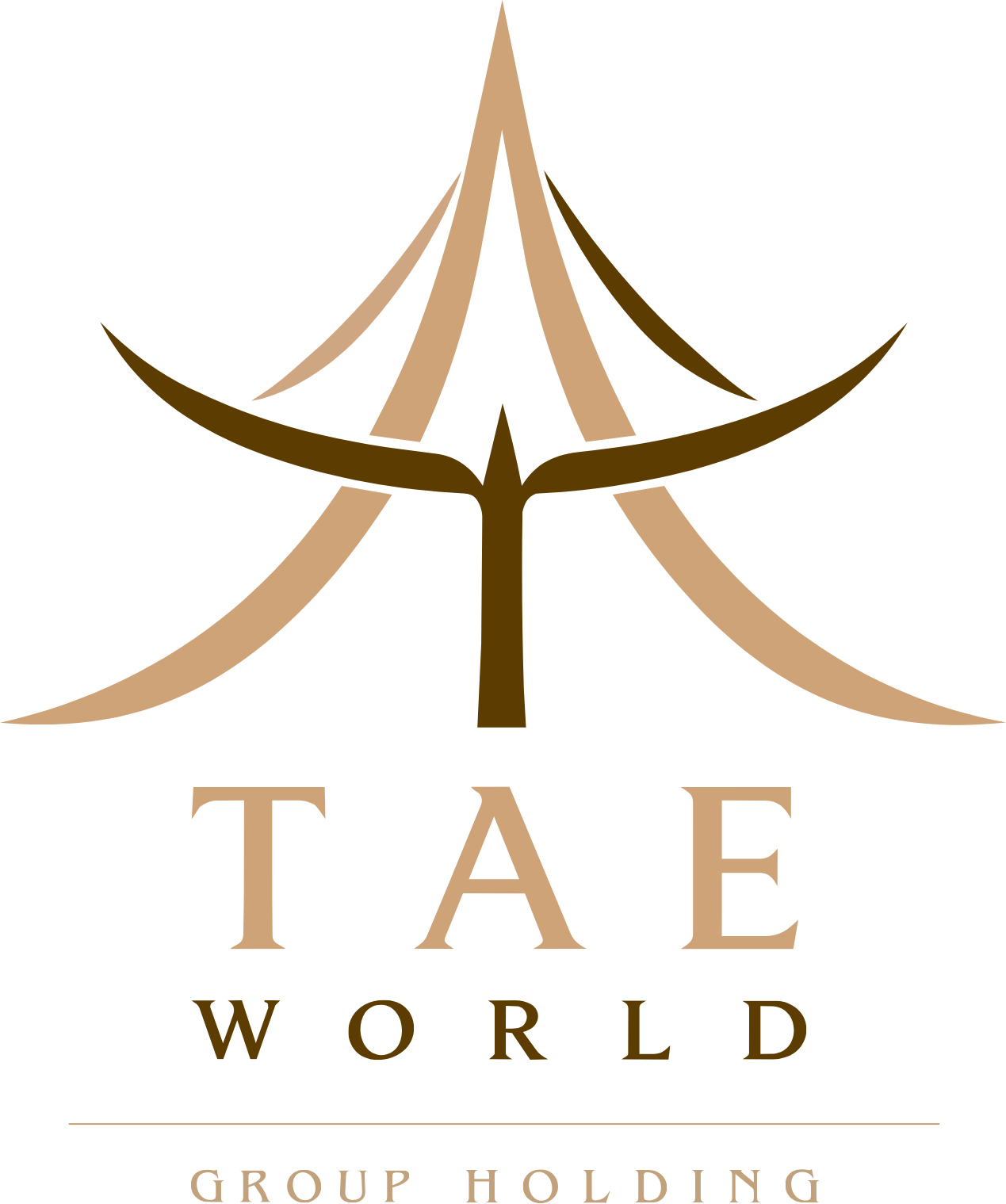 TAE World Group Holding